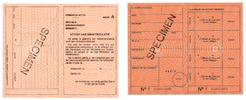 Orange Card Annexe Bijlage 19ter What You Should Know Orange Card Annexe Bijlage 19ter What You Should Know