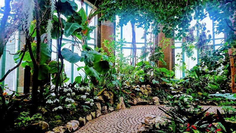 Antwerp Zoo Indoor Garden