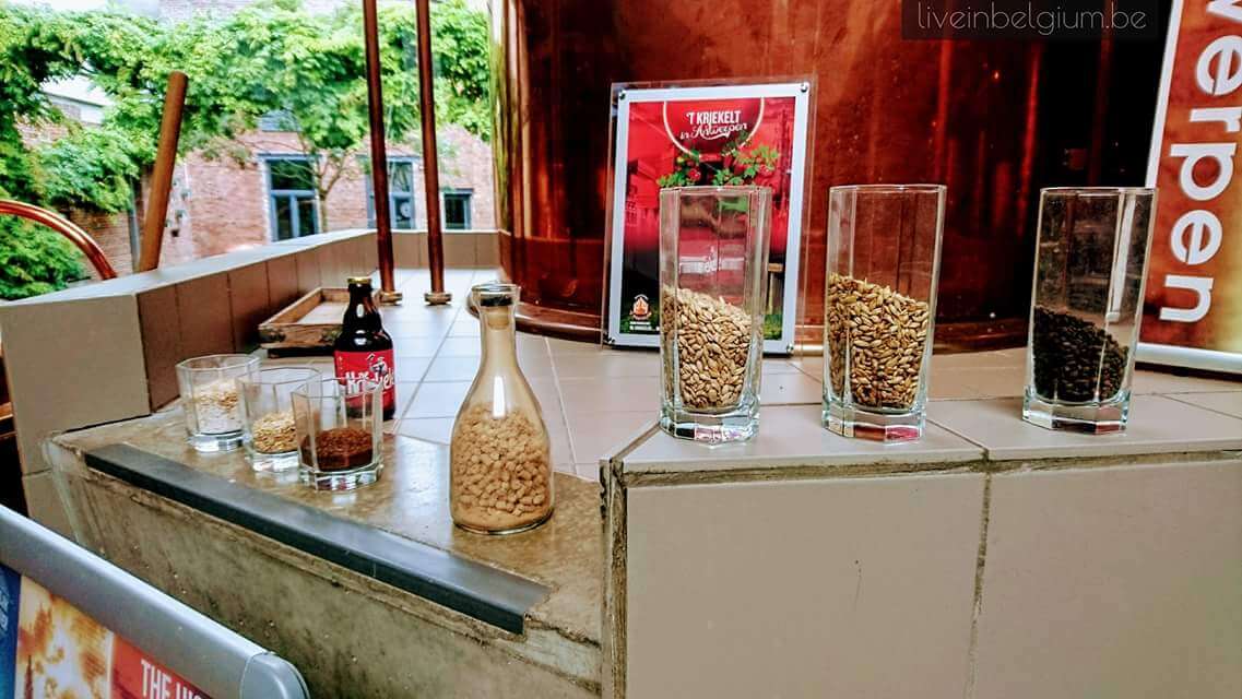 Antwerp Brewery Tour