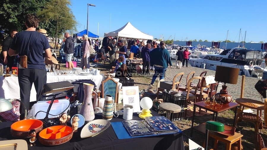 Goegekregen Rommelmarkt Kempisch Dok
