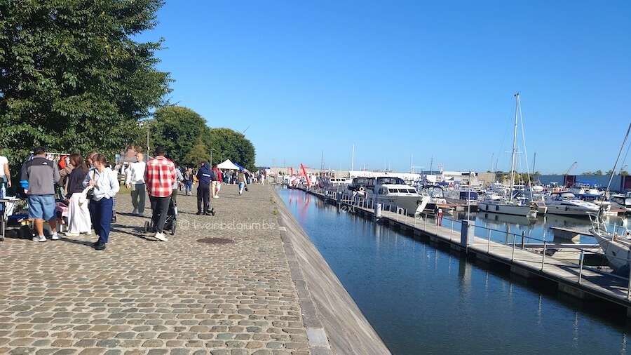Goegekregen Rommelmarkt Kempisch Dok